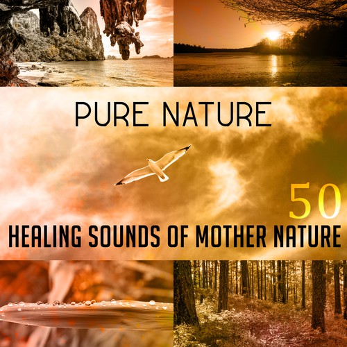 Life Sounds Nature cover art