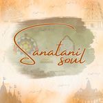 Sanatani Soul