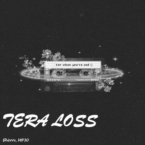 TERA LOSS