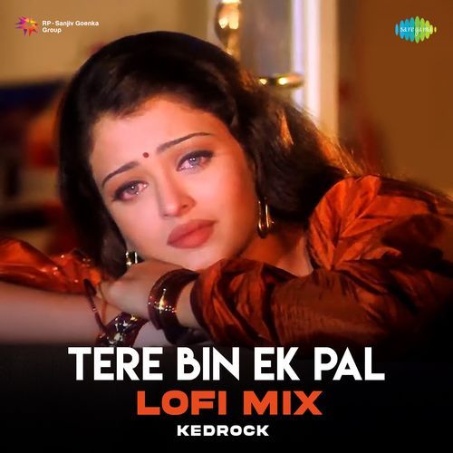 Tere Bin Ek Pal - Lofi Mix