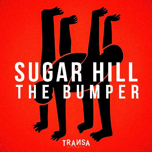 The Bumper (Extended Mix)