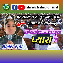 Wo Nabi Sabka Kitna Pyara Hai