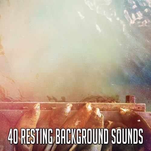 40 Resting Background Sounds