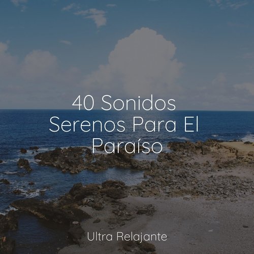 40 Sonidos Serenos Para El Paraíso