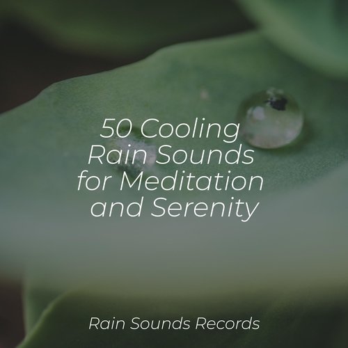 50 Cooling Rain Sounds for Meditation and Serenity