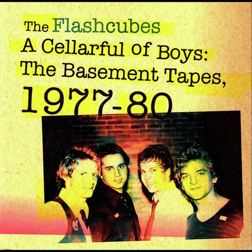 A Cellarful of Boys: The Basement Tapes, 1977-80_poster_image