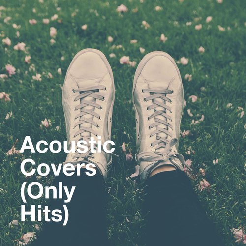 Acoustic Covers (Only Hits)_poster_image