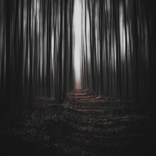 Adil cover art