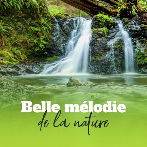 Belle mélodie de la nature (Musique pour l'esprit, Le corps et l'âme)