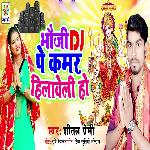 Bhauji Dj Pe Kamar Hilaweli Ho