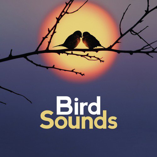 Water Source cover art