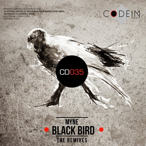 Black Bird (Felo Rueda Remix) cover art