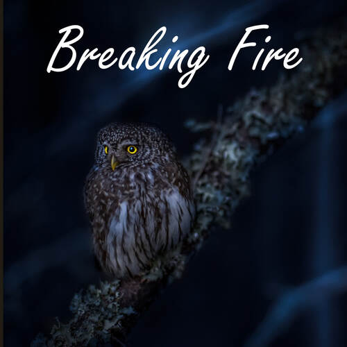 Breaking Fire