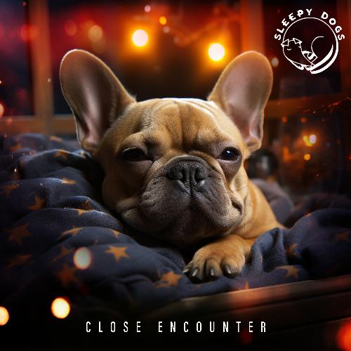 Close Encounter_poster_image