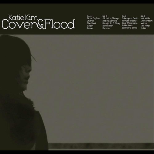 Little Dragon cover art