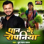 Dhaan Ke Ropaniya