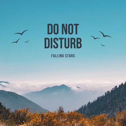 Do Not Disturb