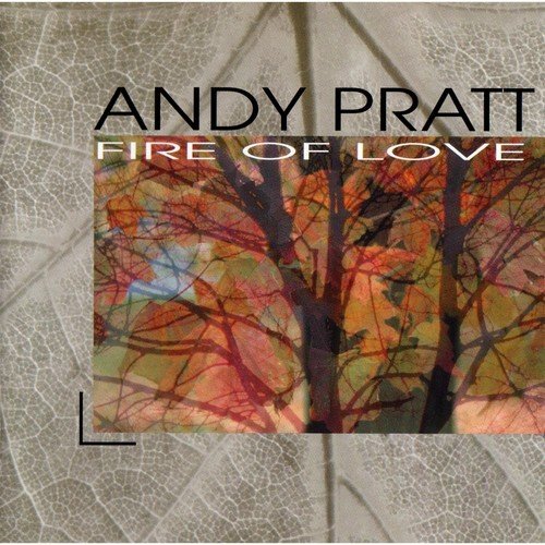 Andy Pratt