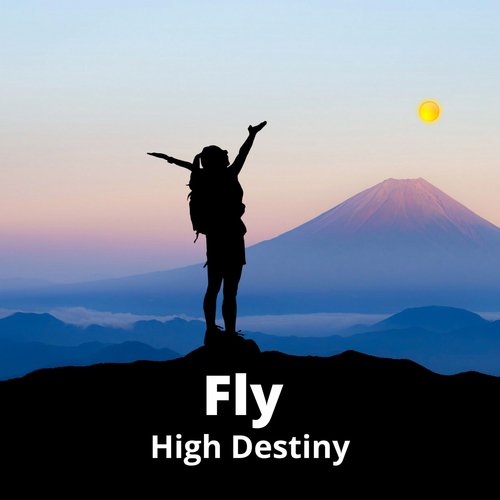 Fly High Destiny