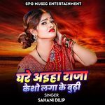 Ghare Aaiha Raja Kashu Laga Ke Budhi