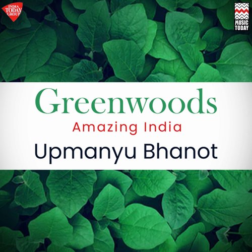 Greenwoods - Amazing India_poster_image