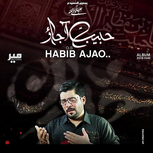 Habib Aa Jao_poster_image