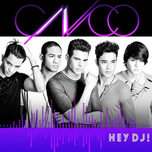 Hey DJ (Pop Version)_poster_image