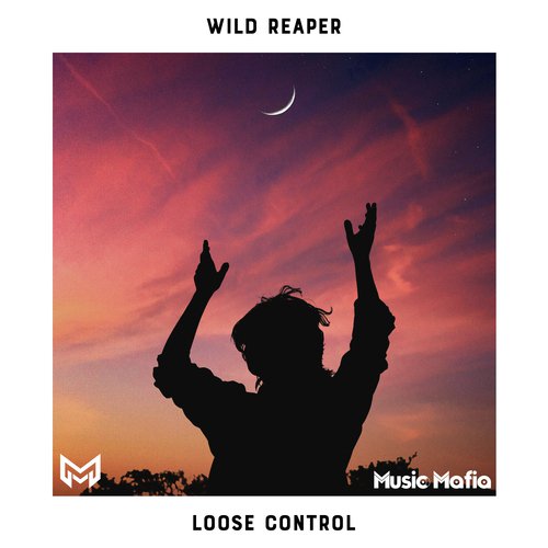 Loose Control_poster_image