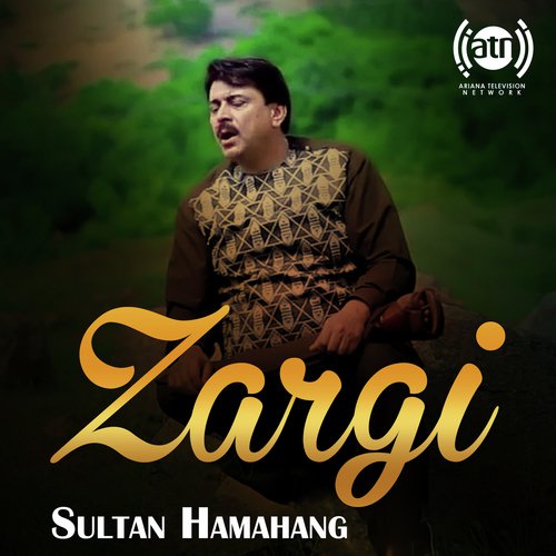 زرگی