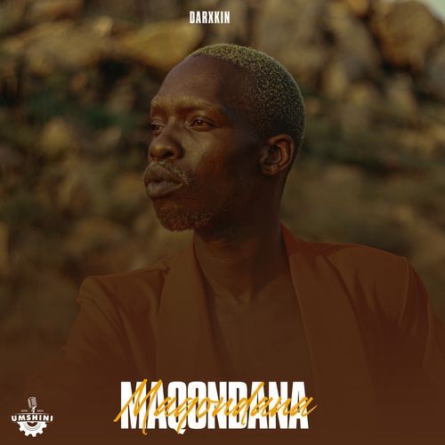 Lungisa cover art