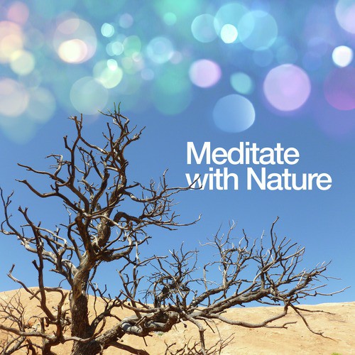 Meditate with Nature