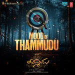 Mood Of Thammudu (From "Thammudu")