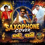 Nali Pani Saxophone Cover