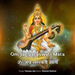 Om Jai Saraswati Mata