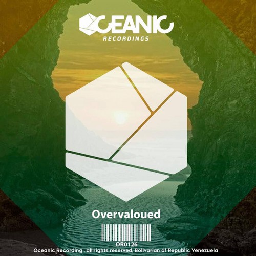 Overvalued (Original Mix)