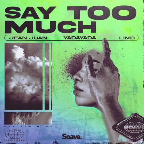 Say Too Much_poster_image