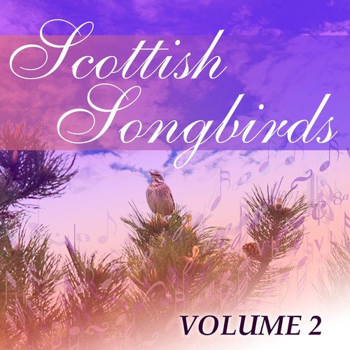 Scottish Songbirds, Vol. 2