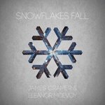 Snowflakes Fall