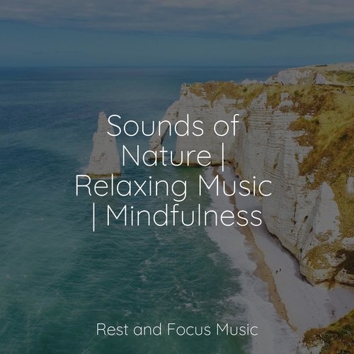 Sounds of Nature | Relaxing Music | Mindfulness_poster_image