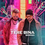 Tere Bina