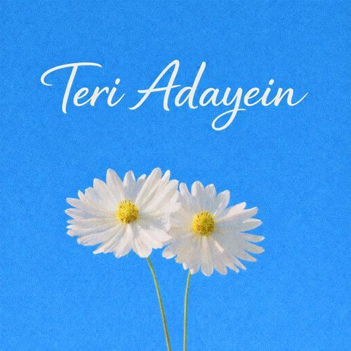 Teri Adayein