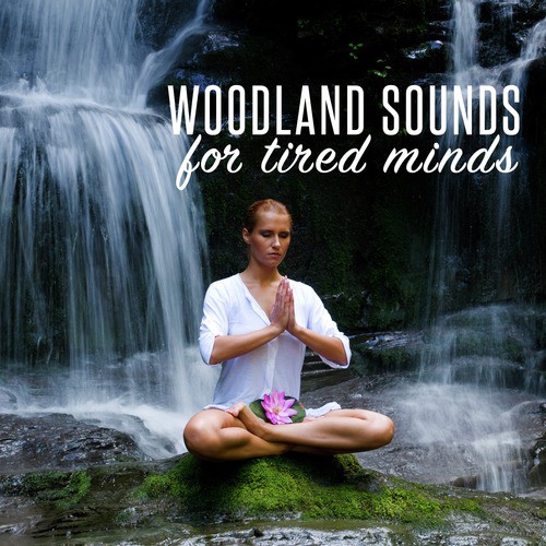 Woodland Sounds for Tired Minds