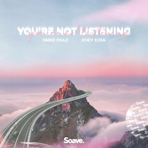 You&#039;re Not Listening_poster_image