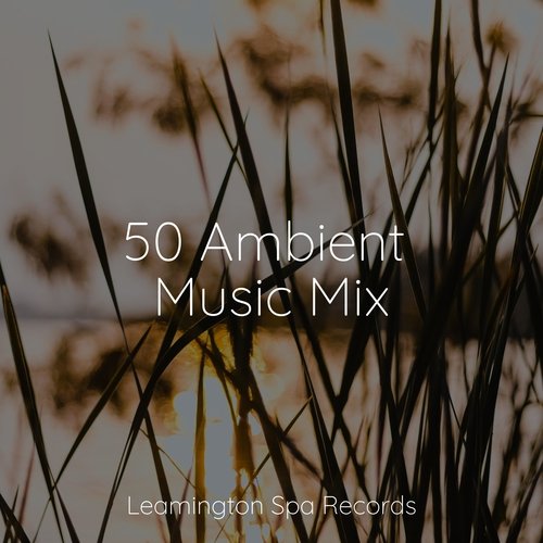 50 Ambient Music Mix_poster_image