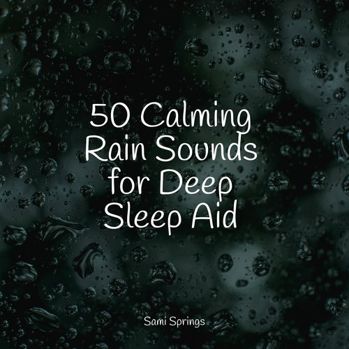 50 Calming Rain Sounds for Deep Sleep Aid