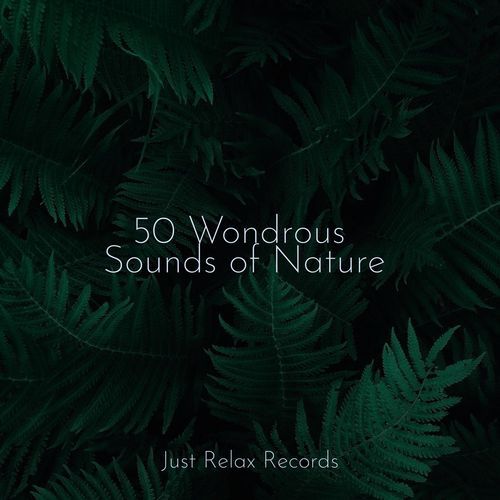 50 Wondrous Sounds of Nature