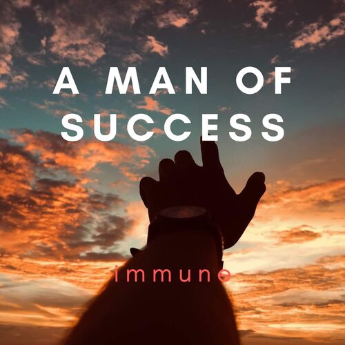 A Man of Success_poster_image