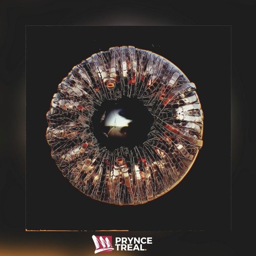 Storage cover art