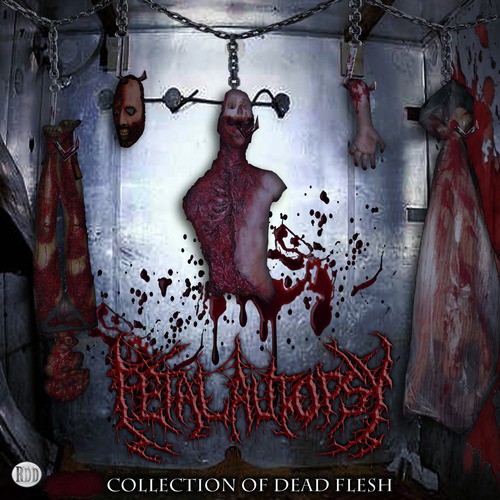 Listen to Cryptic Butchery Song Online, Cryptic Butchery Song MP3 by Fetal Autopsy...