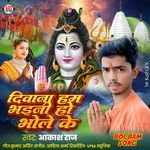 DEEWANA HAM BHAINI BHOLE KE